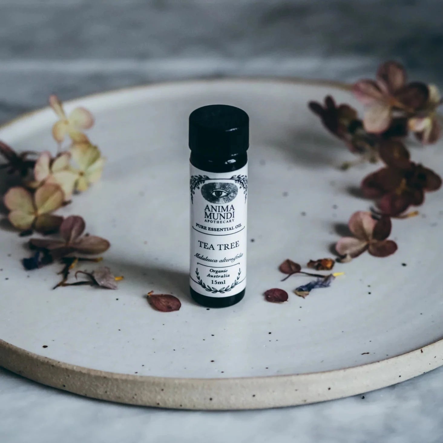 Bio Tea Tree Essential Oil auf Tablett.