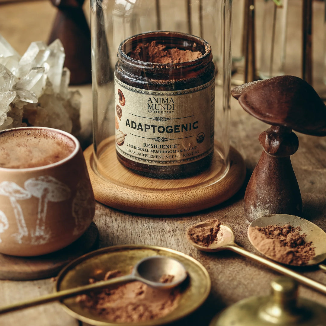 Adaptogenic Powder: 7 Mushrooms + Heirloom cacao North Glow