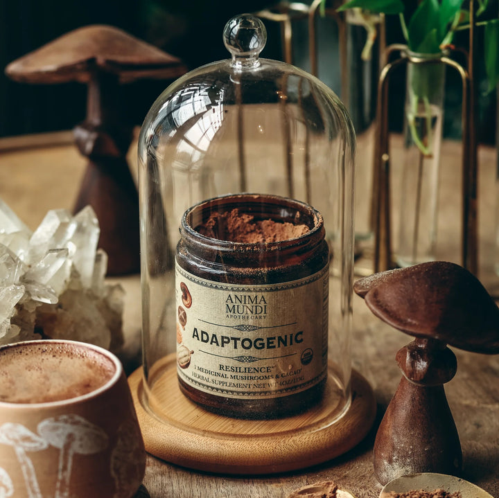 Adaptogenic Powder: 7 Mushrooms + Heirloom cacao
