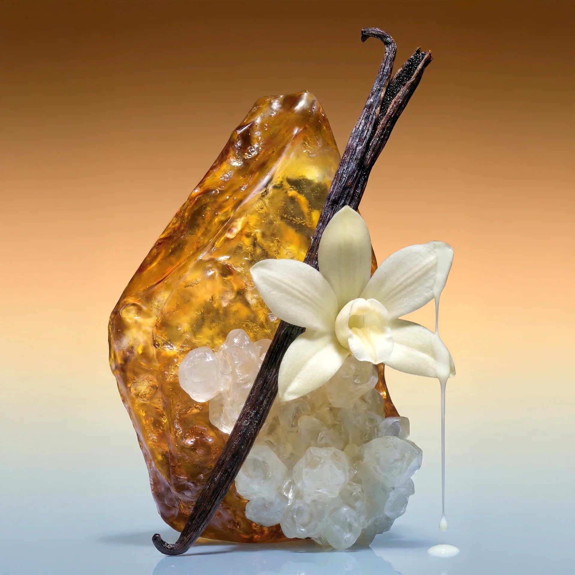 Lost in Vanillatopia Eau de Parfum inspiriert von cremiger Vanille, Amber und Tonkabohne