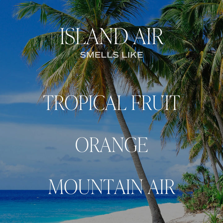 Bild mit Palmen, Strand und Meer im Hintergrund, davor steht Island Air, Tropical Fruit, Orange, Mountain Air.