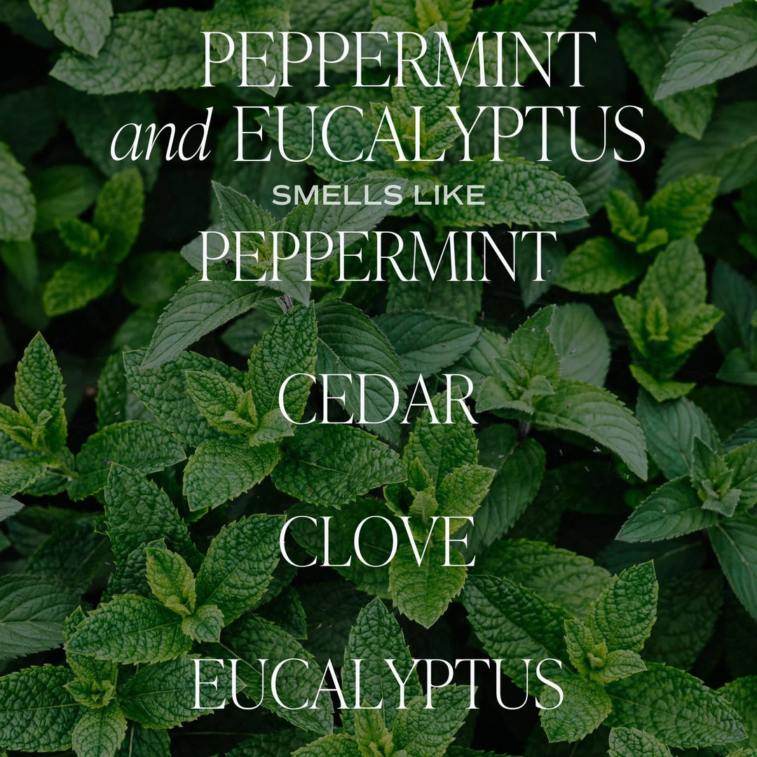 Sojawachskerze "Peppermint and Eucalyptus" mit Pfefferminze und Eukalyptus North Glow