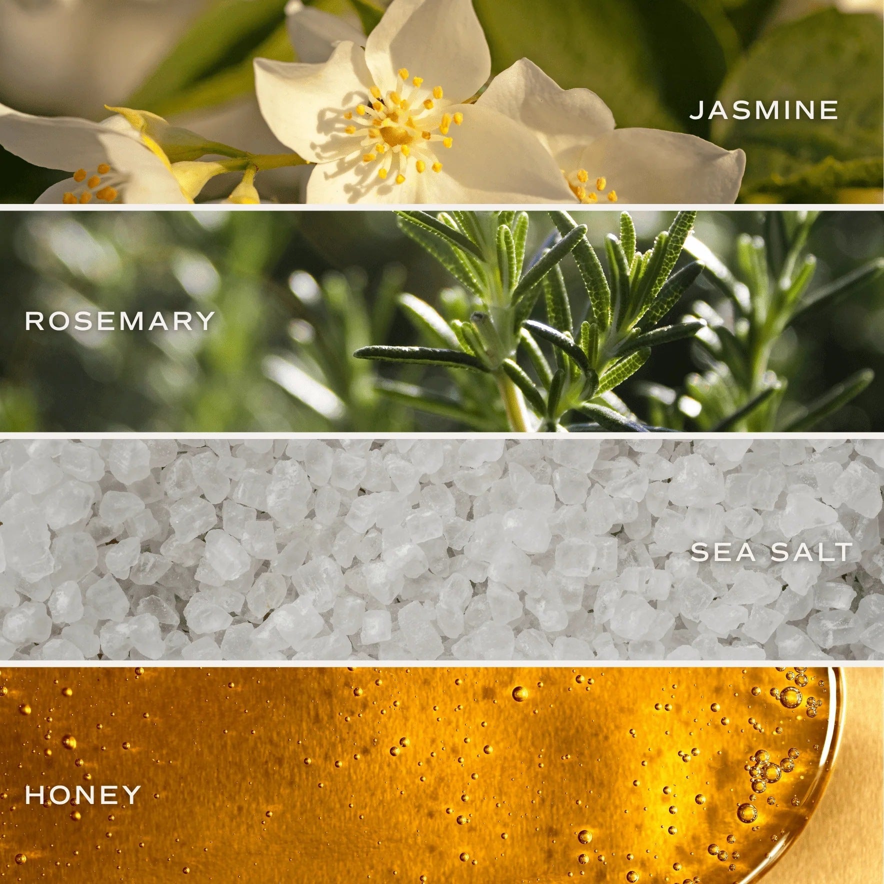 Bilder der Duftstoffe der Bath Bomb Wildflower and Salt von Sweet Water Decor