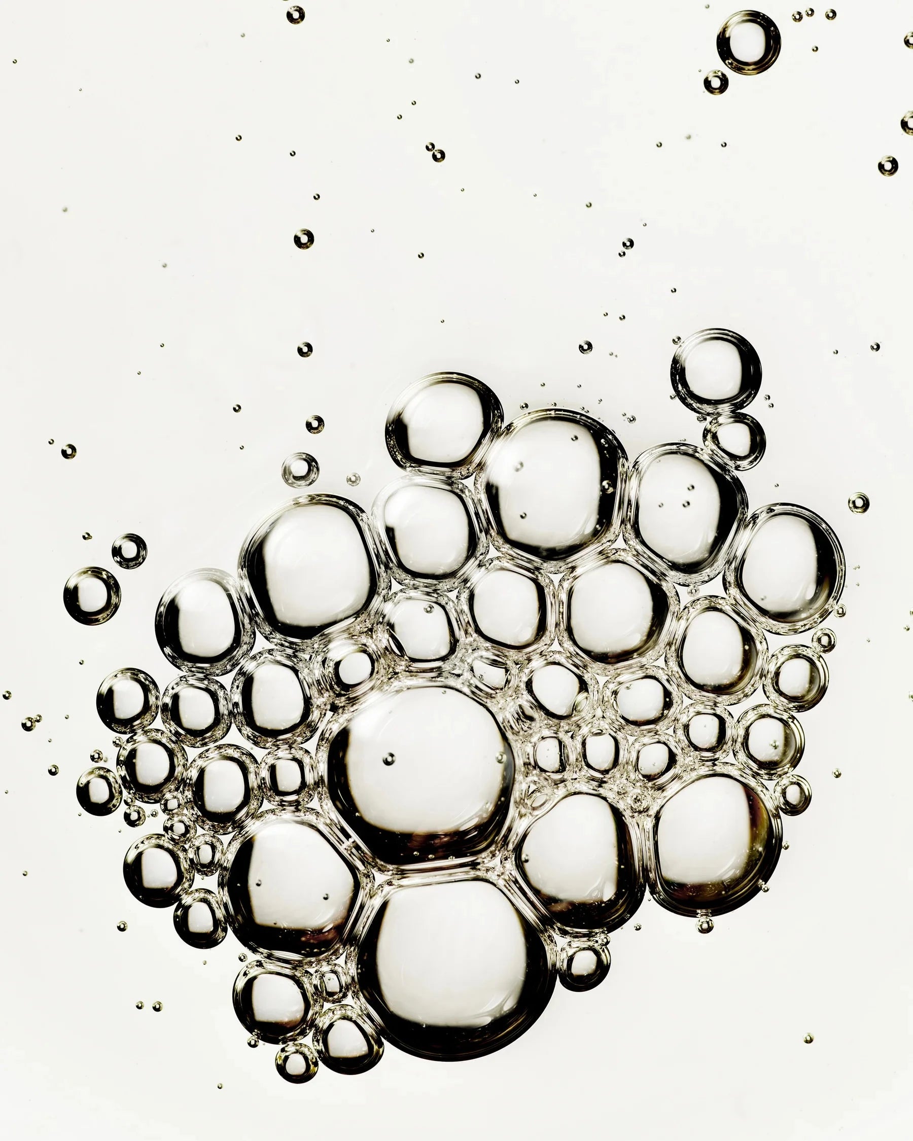 Botanical Serum CHANUA Microbioskin™ - MANASI 7 - probiotic serum