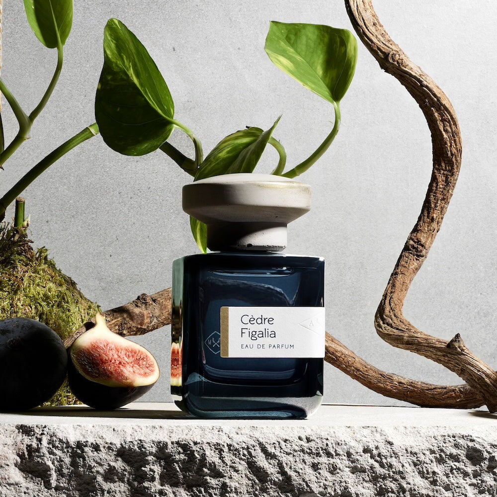 CÈDRE FIGALIA - Unisex Eau de Parfum | STUDIO MATERIAL