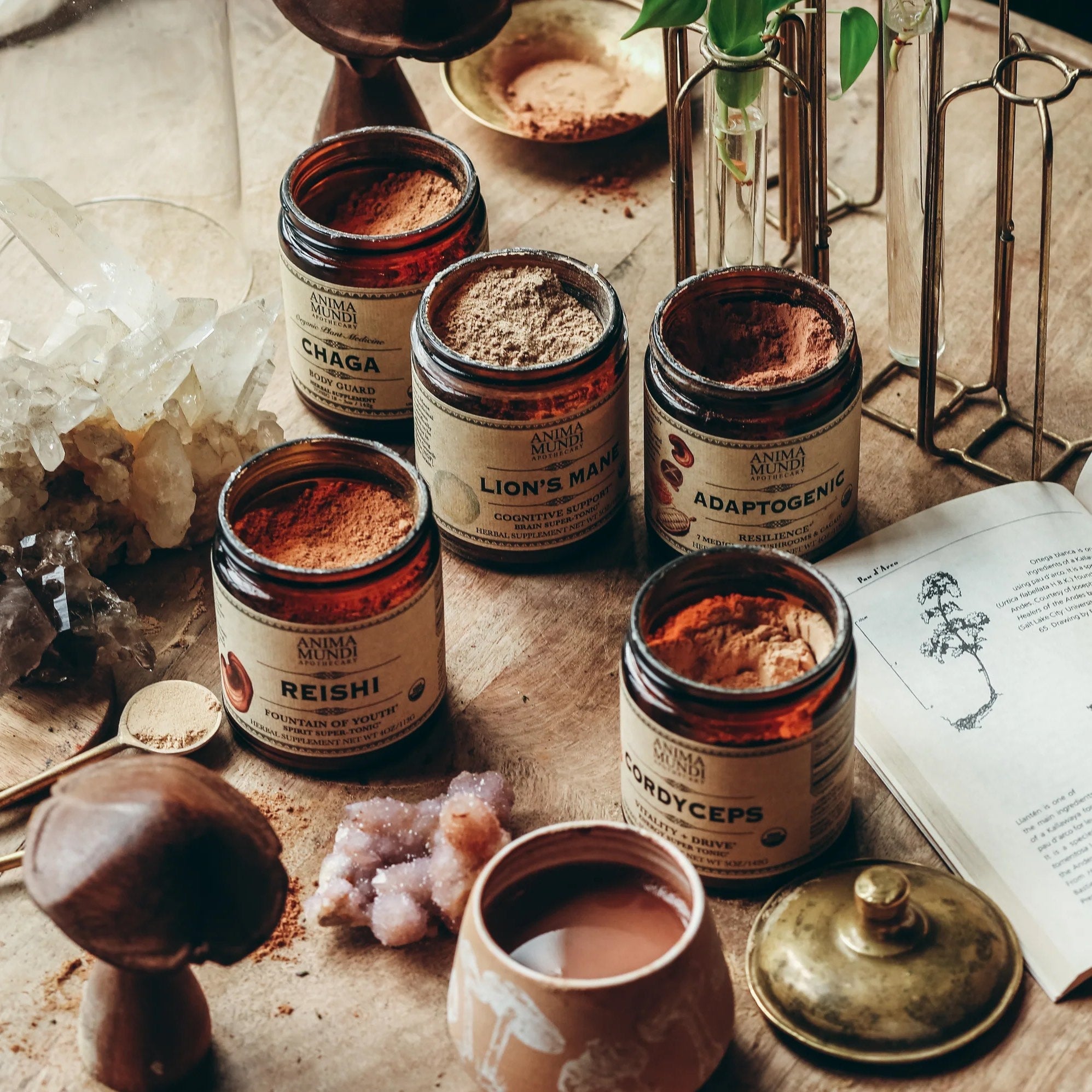 CHAGA Body Guard (mushroom powder) ANIMA MUNDI