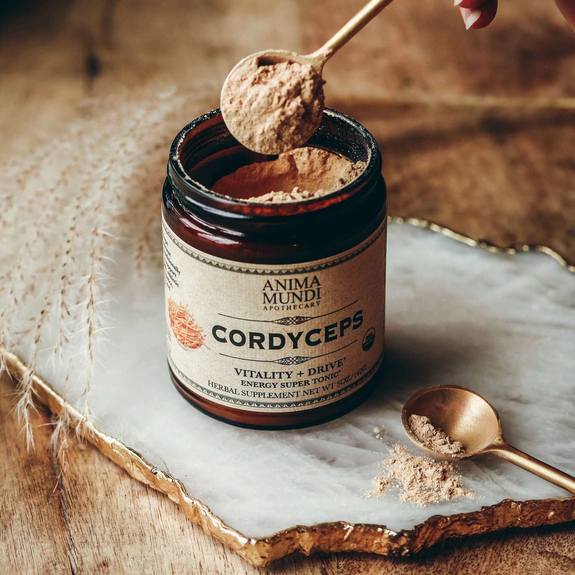 CORDYCEPS - Energy and strength for the cells - ANIMA MUNDI