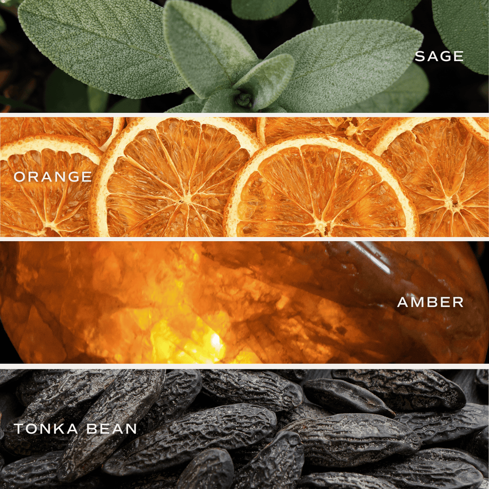 Duftnoten von Sage, Orange, Amber