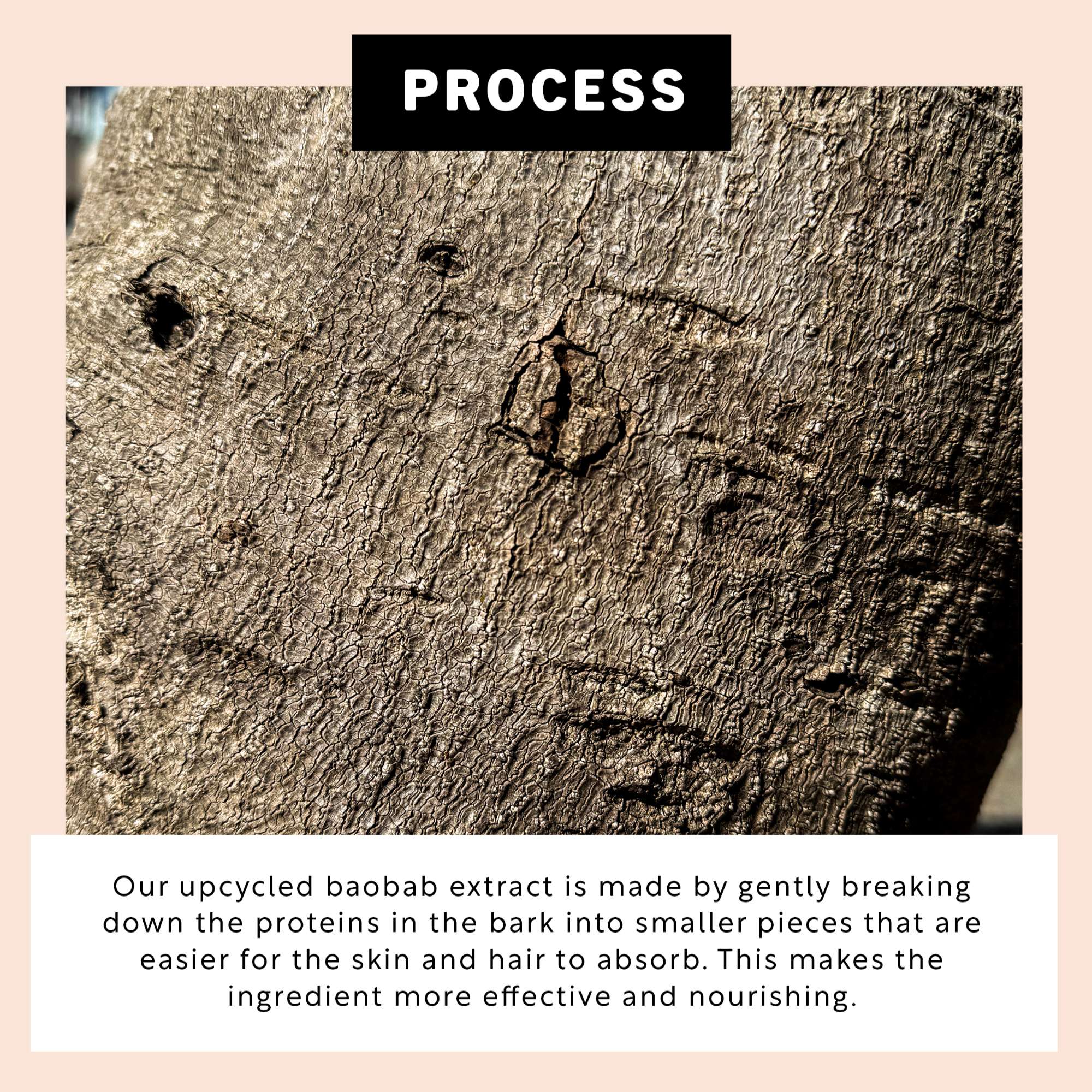 UpCircle Hair Serum – Natürliches Anti-Frizz Serum ohne Silikone
(50ml)