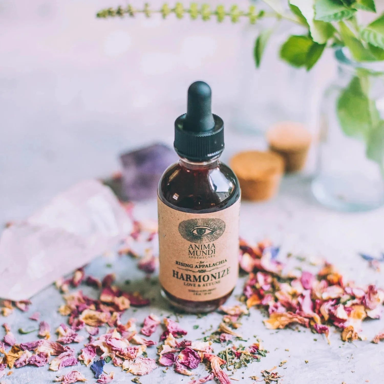 Natürliche Inhaltsstoffe von Anima Mundi Harmonize – Rose, Ashwagandha und weitere adaptogene Kräuter.