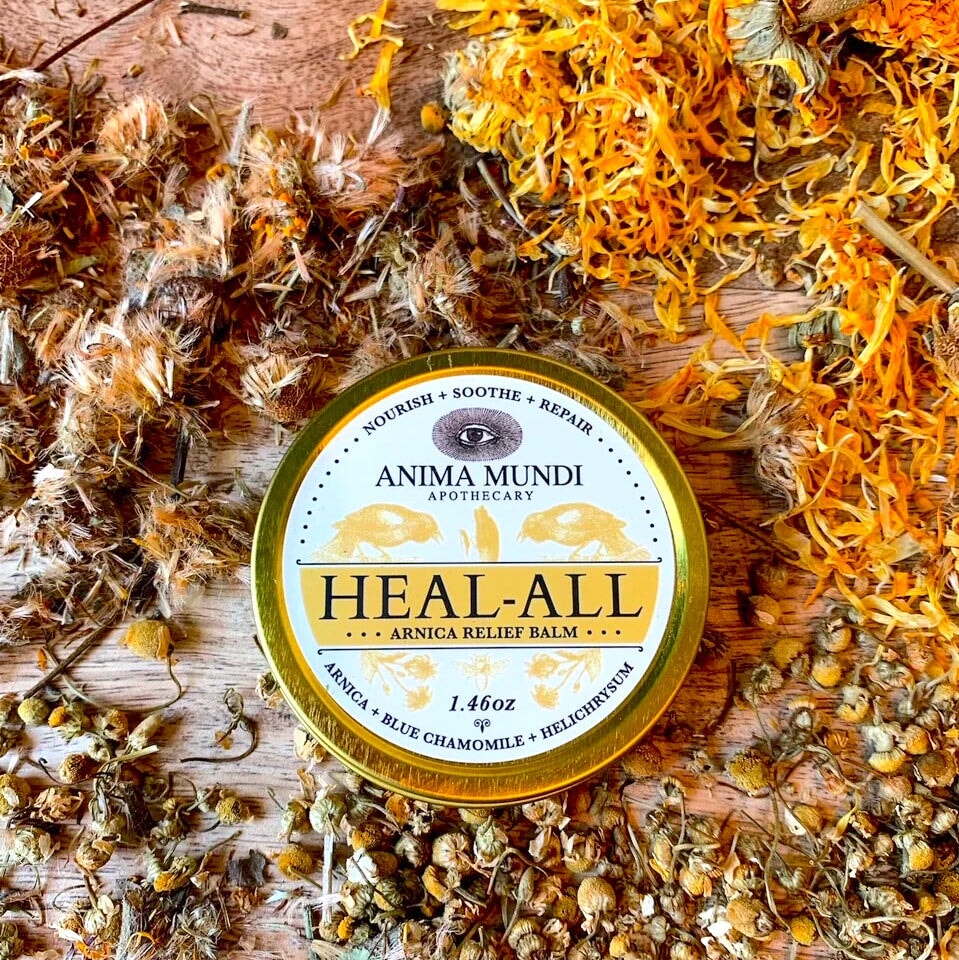 HEAL-ALL Arnica Relief Balm (repairing balm) ANIMA MUNDI