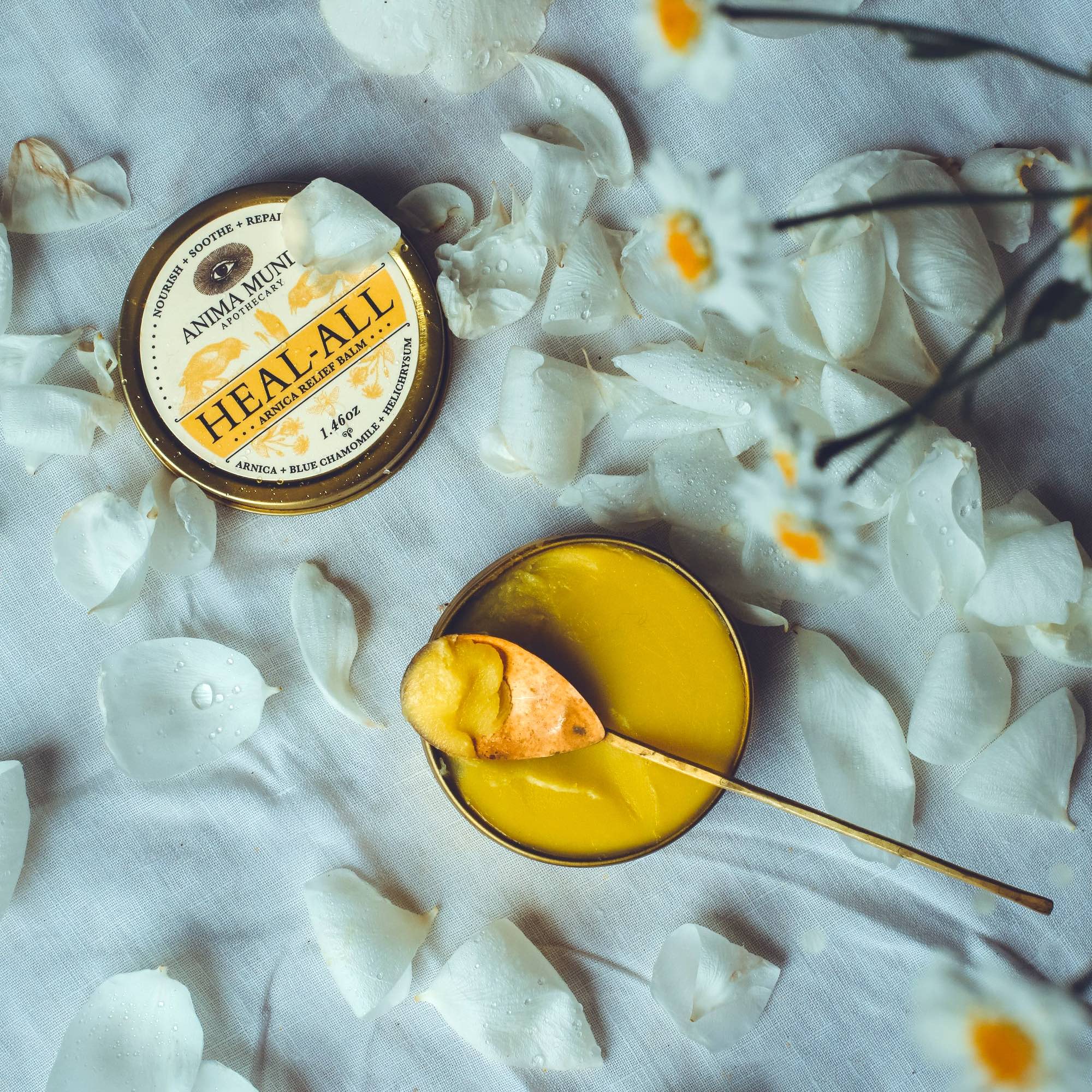 HEAL-ALL Arnica Relief Balm (repairing balm) ANIMA MUNDI