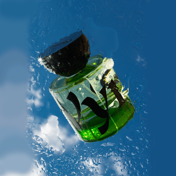 I AM VERDANT - Unisex Eau de Parfum : VYRAO