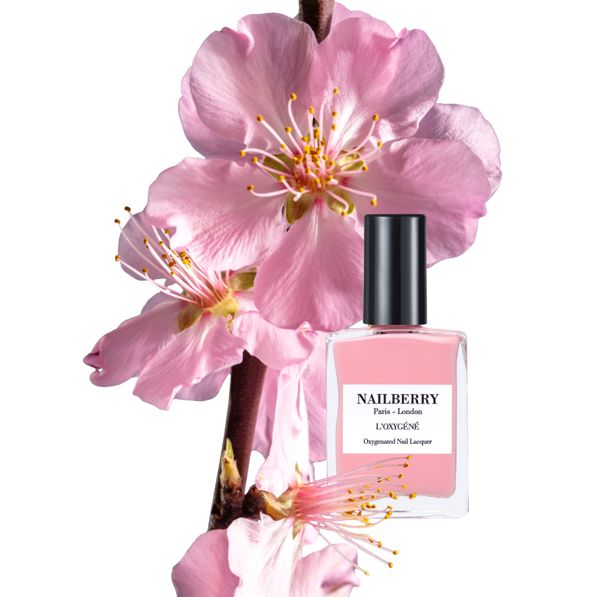 Imperial Blush - Nailberry Nail Polish (Spring 2025)