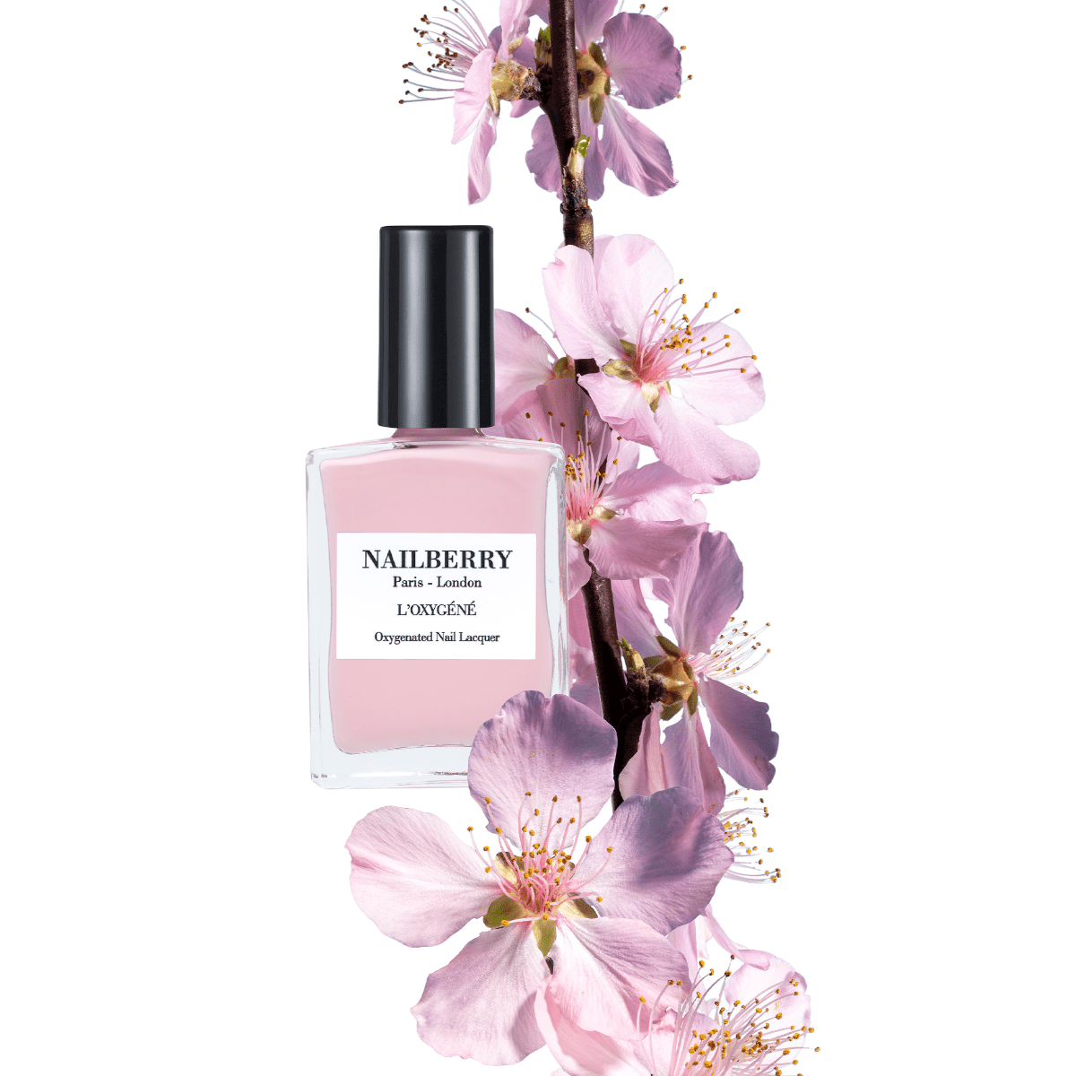 Kyoto Bloom - Nailberry Nagellack (Frühjahr 2025)