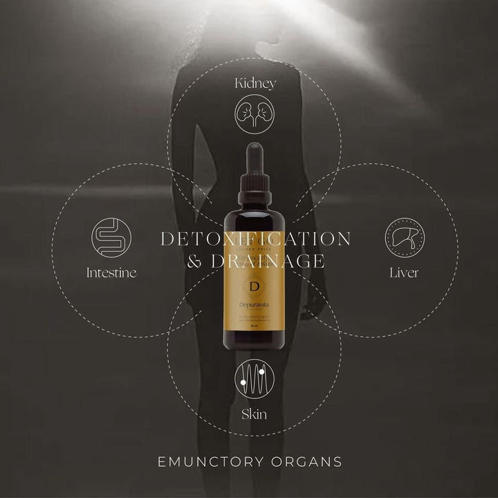 Let Go Herbal Tincture (Detoxification and Purification) - depuravita