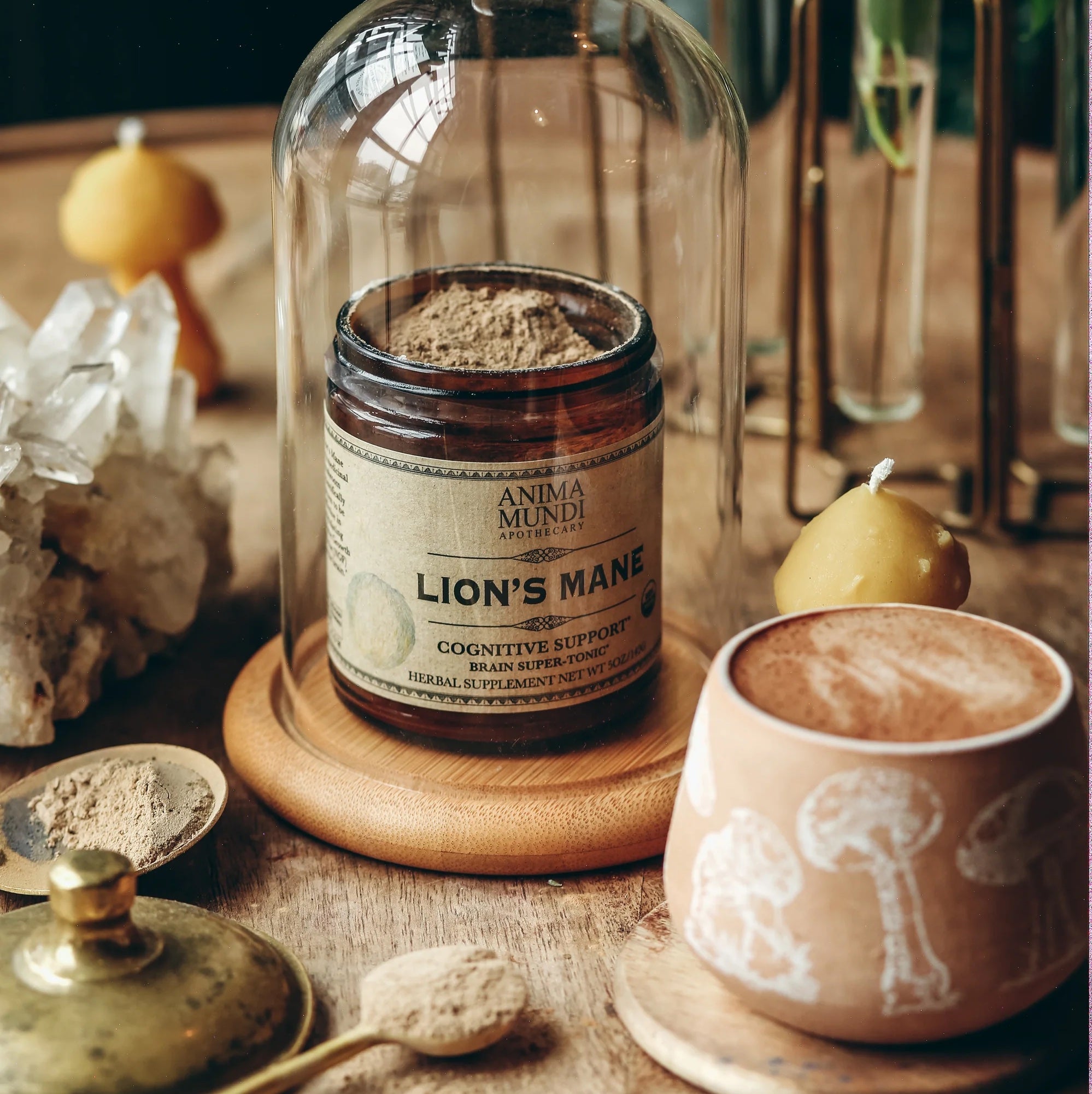 Lion's Mane - ANIMA MUNDI