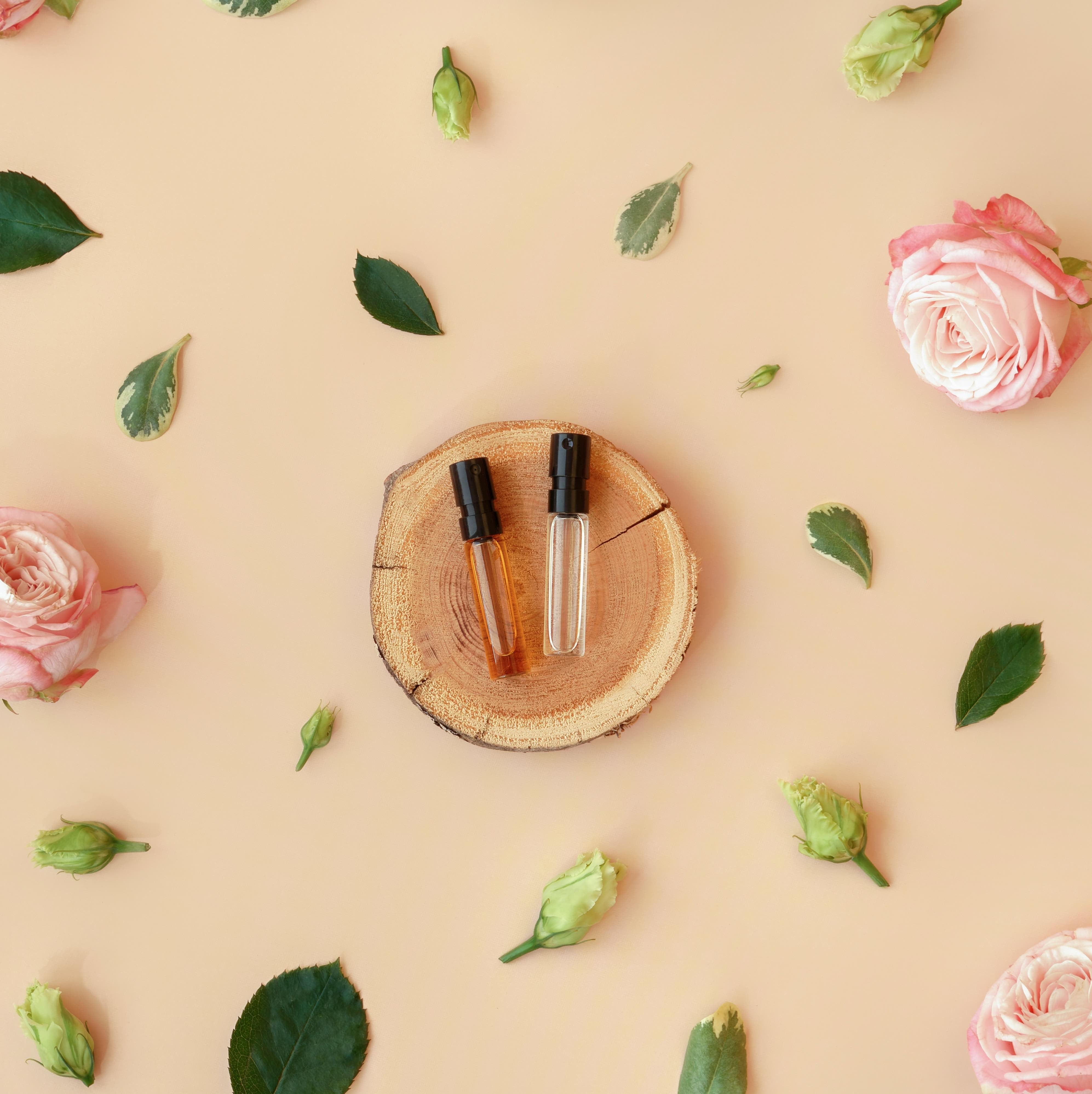 LOST IN THE FOREST (Parfum) MEDEAU - Woody, herbal