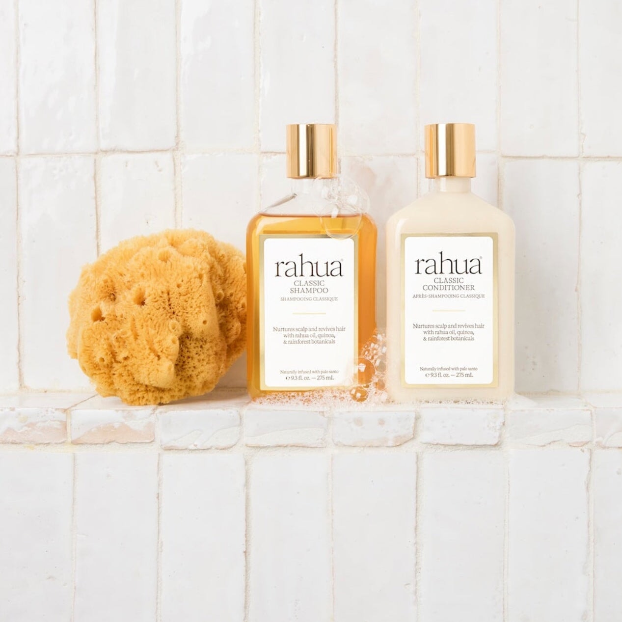 Classic Shampoo - Moisture & Shine