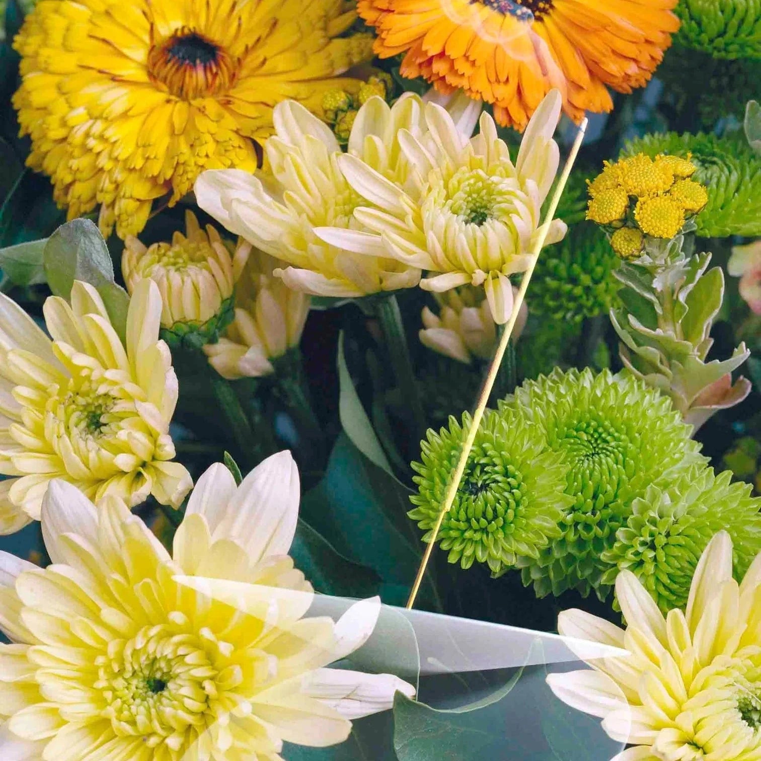 Gelbes Räucherstäbchen umgeben von Blumen.