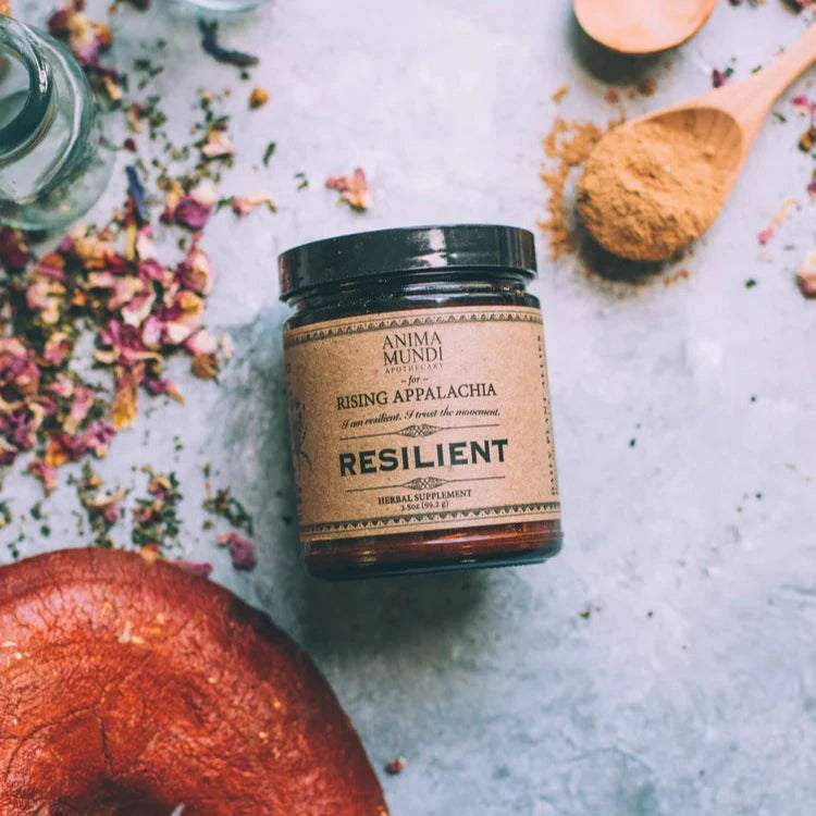 Resilient Powder von ANIMA MUNDI mit Reishi, Maca, Chaga, Mucuna, Kakao und Löwenzahn
