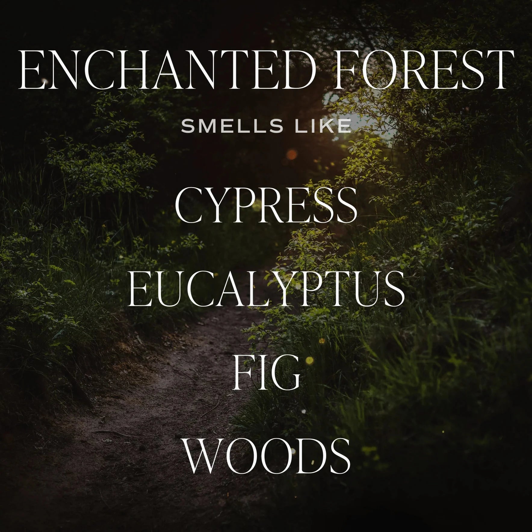 Sojawachskerze ENCHANTED FOREST · SWEET WATER DECOR