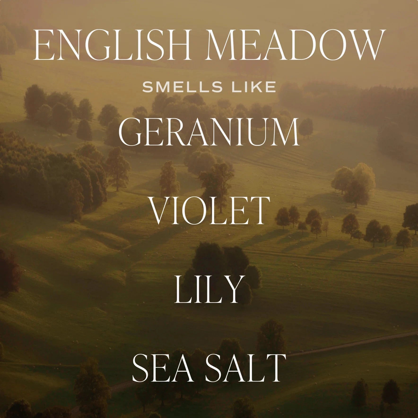 Soy wax candle "ENGLISH MEADOW" | SWEET WATER DECOR