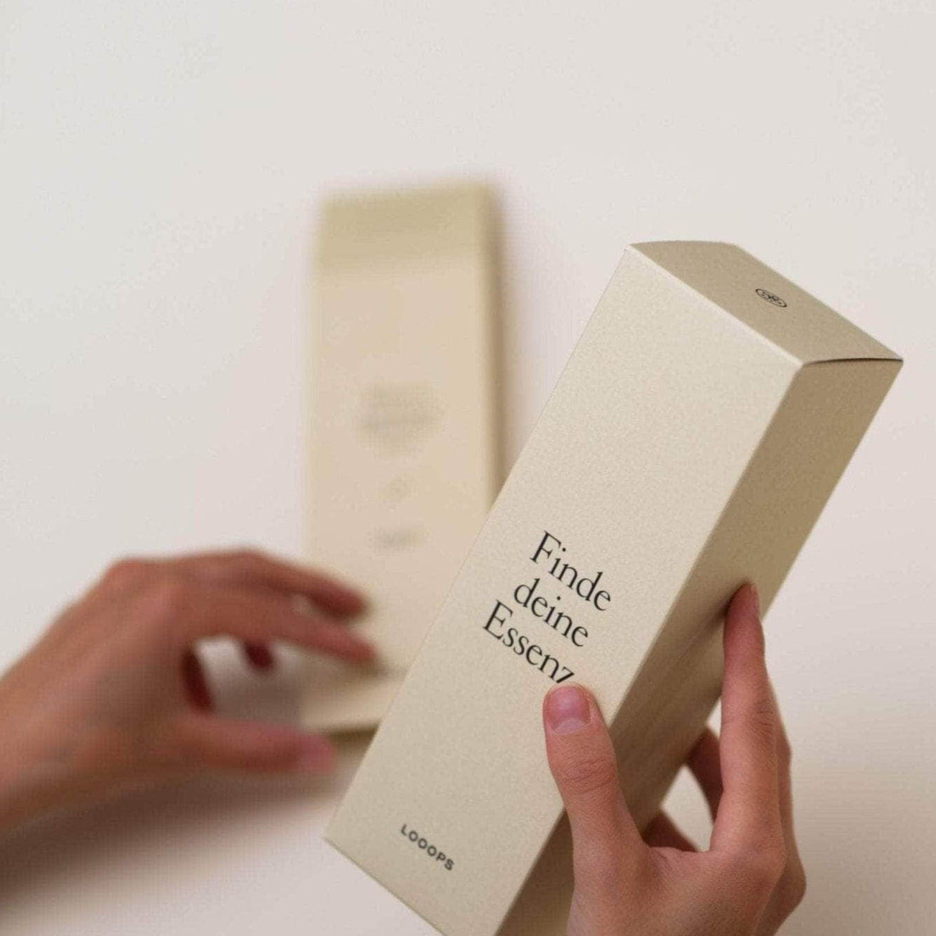 Stick diffuser "BERGLUFT" | Room fragrance / fragrance sticks LOOOPS