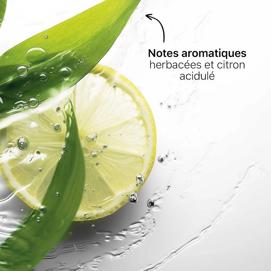 the smilist  BAIN DE BOUCHE BIPHASÉ PUFIFIANT | Pure Breath Reinigendes Mundwasser North Glow