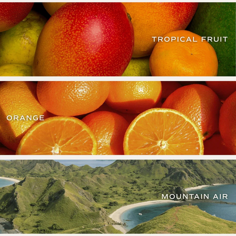 XOXO Duftkerze Island Air mit Holzdeckel – Sojawachs Kerze mit tropisch-frischem Duft