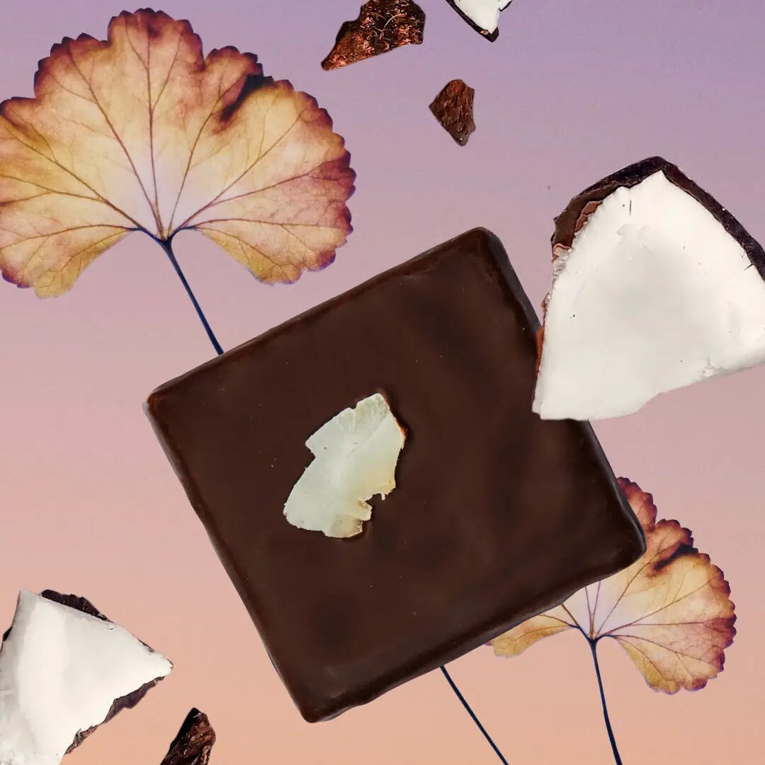 TOASTED COCONUT with Tumeric Spice Mix - 4er Box Chakra Schokolade -COSMIC DEALER