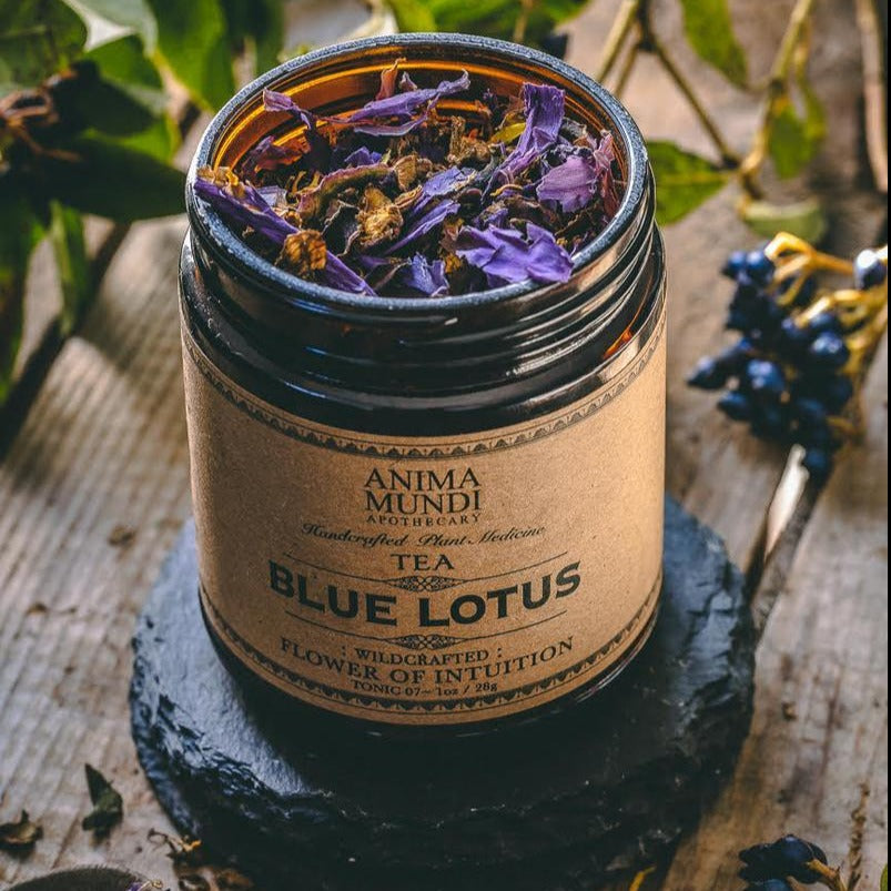 Offenes Schraubverschlussglas mit getrockneten Blütenblättern des Blauen Lotus Tees von Animamundi Mundi steht auf einer runden Schieferplatte auf einem Holsztisch. North Glow