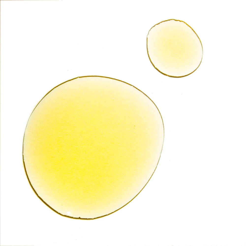 Texturbeispiel des UMA Citron Glow Body Oils auf weißem Untergrund. North Glow