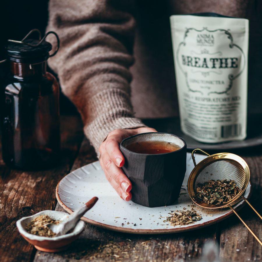 BREATHE Tea mit Tulsi Astragalus Ingwer und Reishi