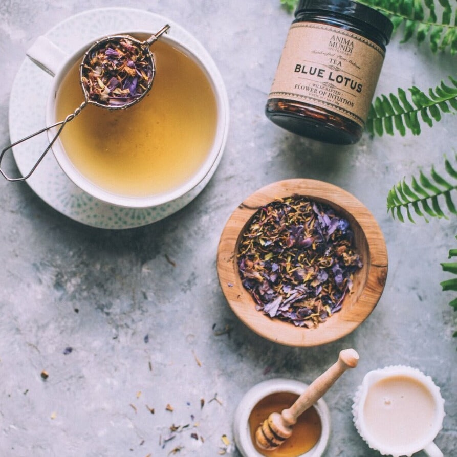 BLUE LOTUS (Tee aus blauem Lotus) ANIMA MUNDI