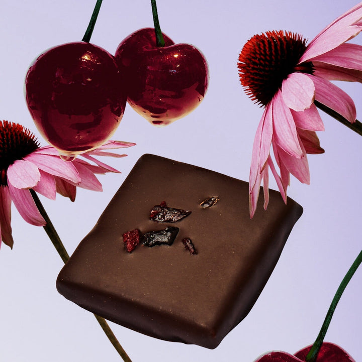 BOX of 20 - Botanical Box - 20 Mini Chocolates - COSMIC DEALER Gift Box