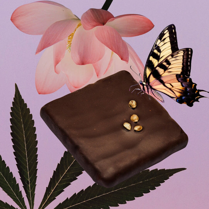 BOX of 20 - Botanical Box - 20 Mini Chocolates - COSMIC DEALER Gift Box