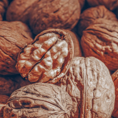 Golden Walnut Brown- natürliche Pflanzenhaarfarbe-Healing Herbs Hair Color