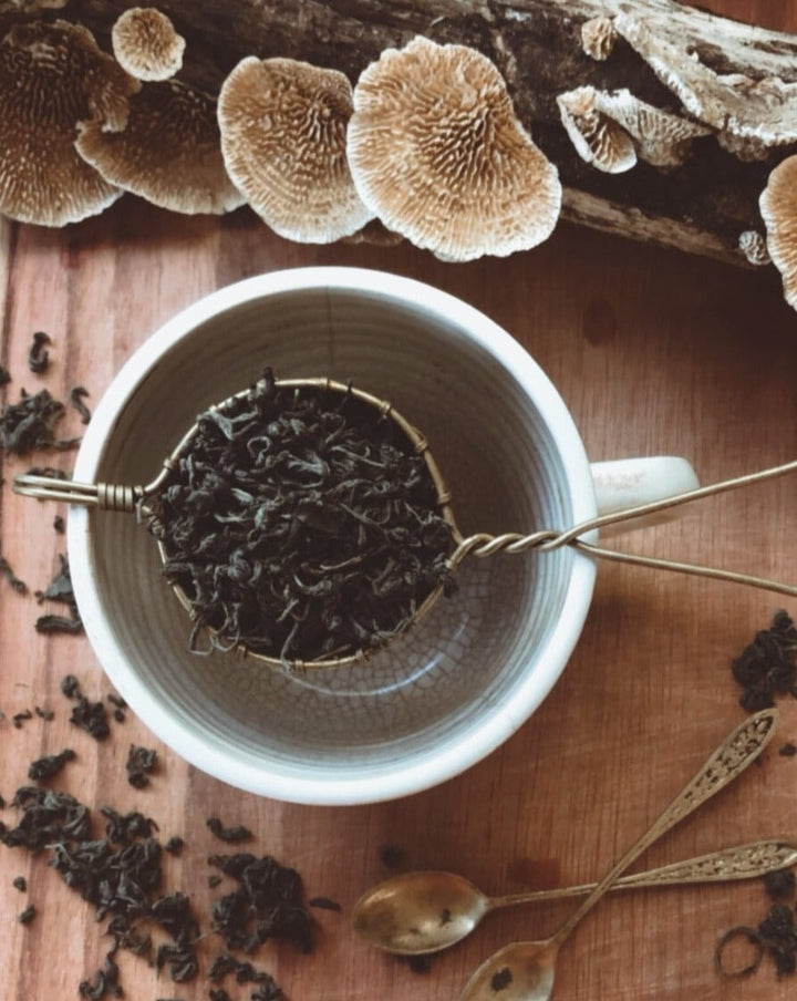 GYNOSTEMMA Whole Leaf tea from ANIMA MUNDI