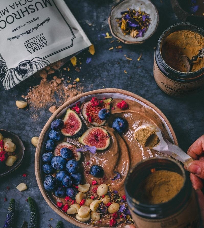 MUSHROOM MOCHA MILK - mocha powder ANIMA MUNDI