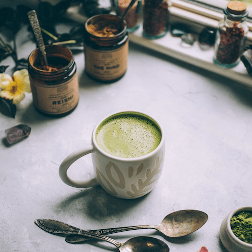 REISHI Fountain of Youth (reines Reishi-Pulver) ANIMA MUNDI