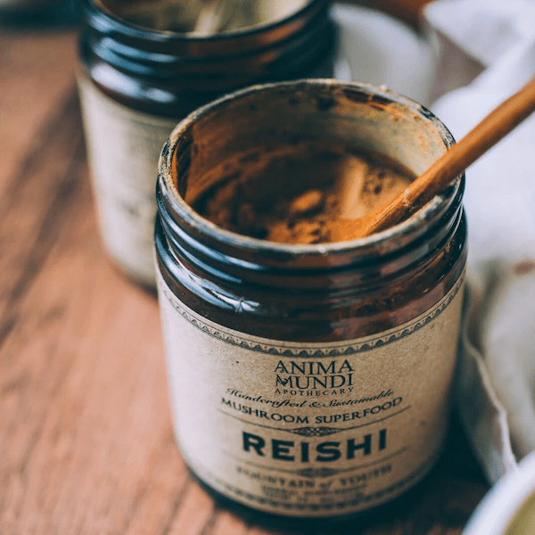 REISHI Fountain of Youth (reines Reishi-Pulver) ANIMA MUNDI