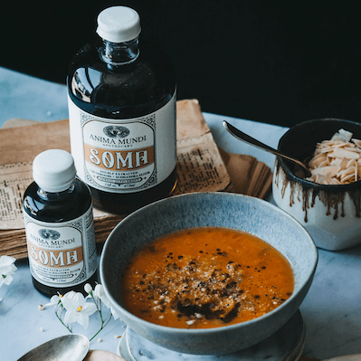 SOMA - 7 Mushrooms Shisandra Elixir ANIMA MUNDI