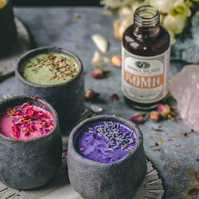 SOMA - 7 Mushrooms Shisandra Elixir ANIMA MUNDI