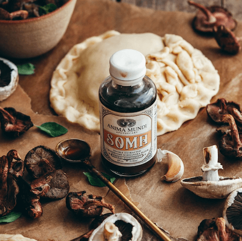 SOMA - 7 Mushrooms Shisandra Elixir ANIMA MUNDI