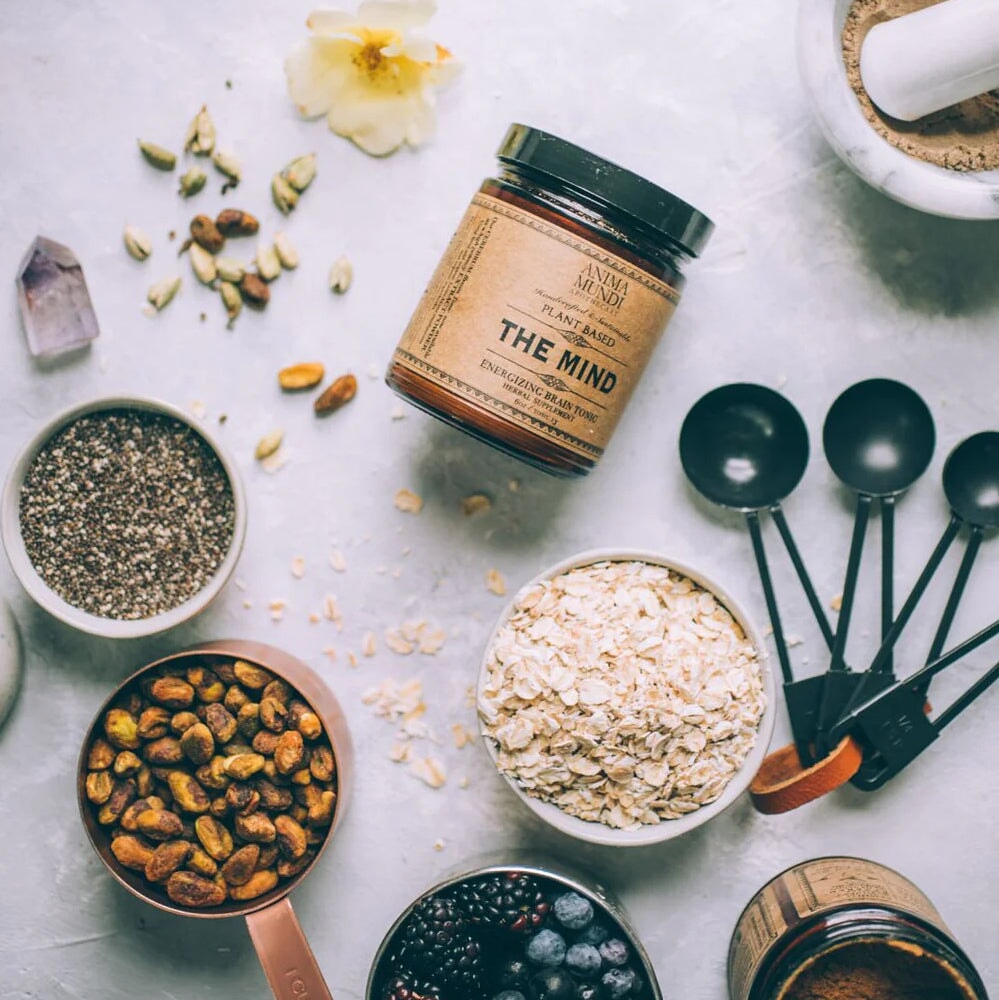 THE MIND (Memory Tonic) - ANIMA MUNDI