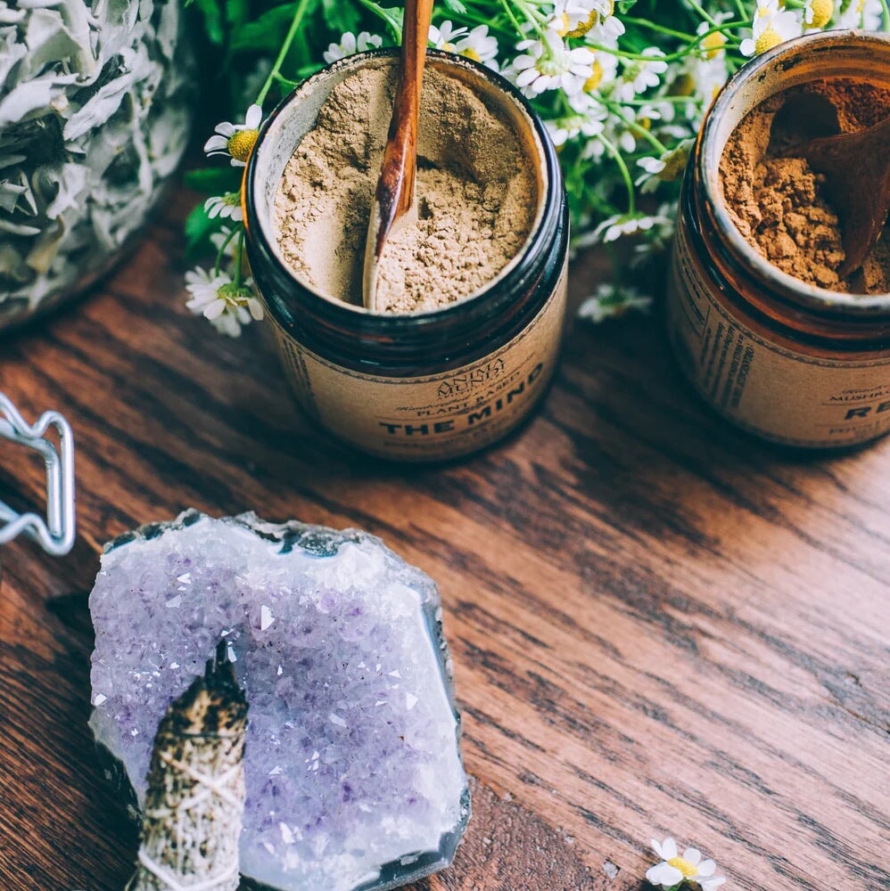 THE MIND (Memory Tonic) - ANIMA MUNDI