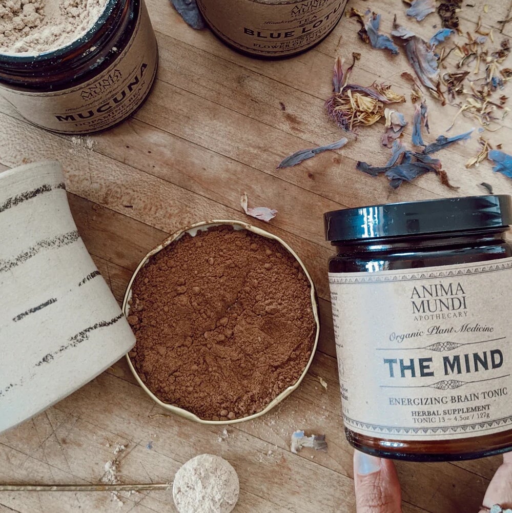 THE MIND (Memory Tonic) - ANIMA MUNDI