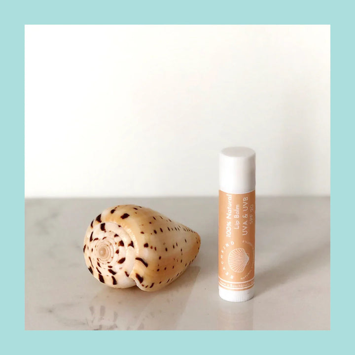 Beachkind Lip Balm stehend neben einer Muschel.