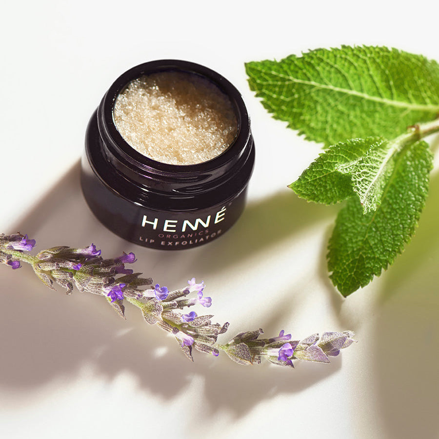 LIP EXFOLIATOR - Lippen Peeling in Lavendel-Minze